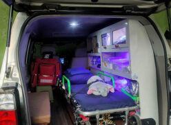 Bungsu Ambulance Service (3)